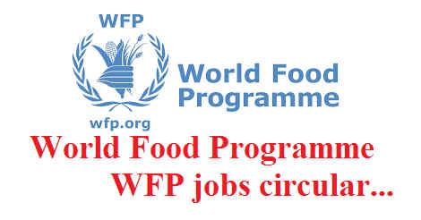 WFP jobs circular