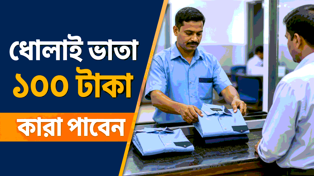 সরকারি ধোলাই ভাতা